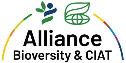 Alliance Bioversity & CIAT